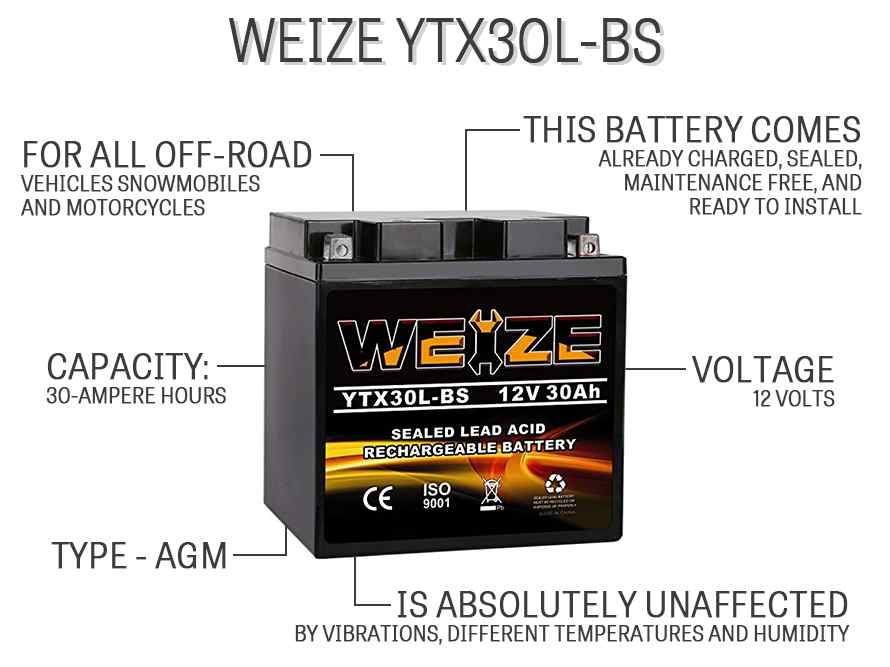 Weize YTX30L-BS